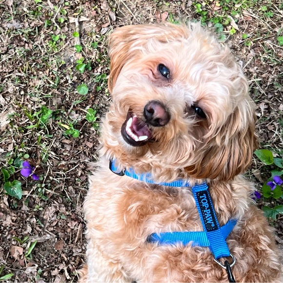 Meet your Poshers, Tracy and Taifa - Picture 14 of 14